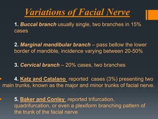 Variations of Facial Nerve
1. Buccal branch usually single, two branches in 15%
cases
2. Marginal mandibular branch – pass bellow the lower
border of mandible, incidence varying between 20-50%

3. Cervical branch – 20% cases, two branches



4. Katz and Catalano reported cases (3%) presenting two
main trunks, known as the major and minor trunks of facial nerve.



5. Baker and Conley reported trifurcation,
quadrifurcation, or even a plexiform branching pattern of
the trunk of the facial nerve

 