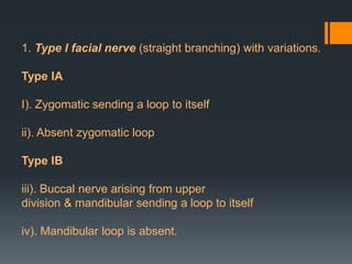 1. Type I facial nerve (straight branching) with variations.
Type IA

I). Zygomatic sending a loop to itself
ii). Absent zygomatic loop
Type IB
iii). Buccal nerve arising from upper
division & mandibular sending a loop to itself

iv). Mandibular loop is absent.

 