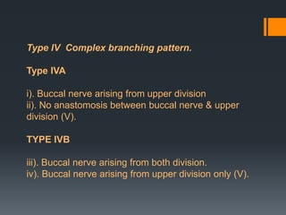 Type IV Complex branching pattern.
Type IVA

i). Buccal nerve arising from upper division
ii). No anastomosis between buccal nerve & upper
division (V).
TYPE IVB
iii). Buccal nerve arising from both division.
iv). Buccal nerve arising from upper division only (V).

 