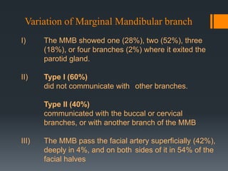 Variation of Marginal Mandibular branch
I)

The MMB showed one (28%), two (52%), three
(18%), or four branches (2%) where it exited the
parotid gland.

II)

Type I (60%)
did not communicate with other branches.
Type II (40%)
communicated with the buccal or cervical
branches, or with another branch of the MMB

III)

The MMB pass the facial artery superficially (42%),
deeply in 4%, and on both sides of it in 54% of the
facial halves

 