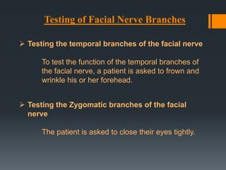 Testing of Facial Nerve Branches
 Testing the temporal branches of the facial nerve
To test the function of the temporal branches of
the facial nerve, a patient is asked to frown and
wrinkle his or her forehead.
 Testing the Zygomatic branches of the facial
nerve
The patient is asked to close their eyes tightly.

 