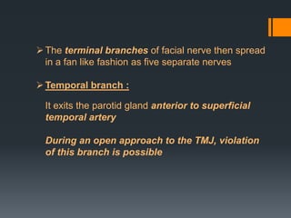  The terminal branches of facial nerve then spread
in a fan like fashion as five separate nerves

 Temporal branch :
It exits the parotid gland anterior to superficial
temporal artery
During an open approach to the TMJ, violation
of this branch is possible

 