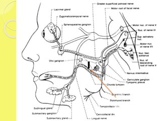 Lesion
distal to
geniculate
ganglion
 