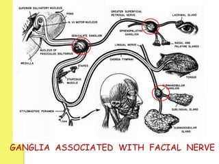 GANGLIA ASSOCIATED WITH FACIAL NERVE
 