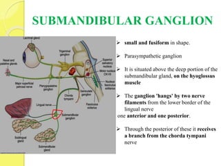 SUBMANDIBULAR GANGLION
 small and fusiform in shape.
 Parasympathetic ganglion
 It is situated above the deep portion of the
submandibular gland, on the hyoglossus
muscle
 The ganglion 'hangs' by two nerve
filaments from the lower border of the
lingual nerve
one anterior and one posterior.
 Through the posterior of these it receives
a branch from the chorda tympani
nerve
 