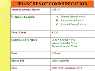 Internal Acoustic Meatus VIII CN
Geniculate Ganglion A. Greater Petrosal Nerve
B. Lesser Petrosal Nerve
C. External Petrosal Nerve
Facial Canal X CN
Stylomastoid Foramen IX & X Cranial Nerve
Greater Auricular Nerve
Auriculotemporal Nerve
Face V Nerve
Behind Ear Lesser Occipital
Neck Transverse Cutaneous Nerve
BRANCHES OF COMMUNICATION
 