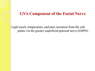 GVA Component of the Facial Nerve
Light touch, temperature, and pain sensation from the soft
palate via the greater superficial petrosal nerve (GSPN).
 