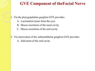 GVE Component of theFacial Nerve
1. Via the pterygopalatine ganglion GVE provides:
A. Lacrimation (tears from the eye)
B. Mucus secretions of the nasal cavity
C. Mucus secretions of the oral cavity
2. Via innervation of the submandibular ganglion GVE provides:
A. Salivation of the oral cavity
 