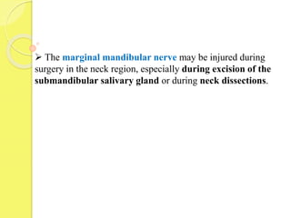  The marginal mandibular nerve may be injured during
surgery in the neck region, especially during excision of the
submandibular salivary gland or during neck dissections.
 