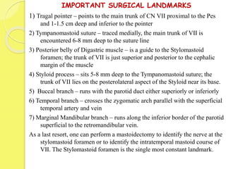 IMPORTANT SURGICAL LANDMARKS
1) Tragal pointer – points to the main trunk of CN VII proximal to the Pes
and 1-1.5 cm deep and inferior to the pointer
2) Tympanomastoid suture – traced medially, the main trunk of VII is
encountered 6-8 mm deep to the suture line
3) Posterior belly of Digastric muscle – is a guide to the Stylomastoid
foramen; the trunk of VII is just superior and posterior to the cephalic
margin of the muscle
4) Styloid process – sits 5-8 mm deep to the Tympanomastoid suture; the
trunk of VII lies on the posterolateral aspect of the Styloid near its base.
5) Buccal branch – runs with the parotid duct either superiorly or inferiorly
6) Temporal branch – crosses the zygomatic arch parallel with the superficial
temporal artery and vein
7) Marginal Mandibular branch – runs along the inferior border of the parotid
superficial to the retromandibular vein.
As a last resort, one can perform a mastoidectomy to identify the nerve at the
stylomastoid foramen or to identify the intratemporal mastoid course of
VII. The Stylomastoid foramen is the single most constant landmark.
 