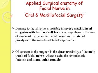  Damage to facial nerve is possible in severe maxillofacial
surgeries with basilar skull fractures anywhere in the area
of course of the nerve and would result in ipsilateral
paralysis of the muscles of facial expression
 Of concern to the surgeon is the close proximity of the main
trunk of facial nerve where it exits the stylomastoid
foramen and mandibular condyle
Applied Surgical anatomy of
Facial Nerve in
Oral & Maxillofacial Surgery
 