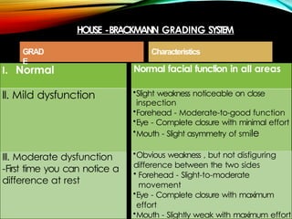 Hb Grading System Facial nerve course palsy treatment syndromes | PPTX