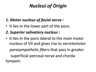 Nucleui of Origin
1. Motor nucleus of facial nerve :
• It lies in the lower part of the pons.
2. Superior salivatory nucleus :
• It lies in the pons lateral to the main motor
nucleus of VII and gives rise to secretomotor
parasympathetic fibers that pass in greater
superficial petrosal nerve and chorda
tympani.
 