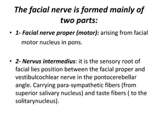 The facial nerve is formed mainly of
two parts:
• 1- Facial nerve proper (motor): arising from facial
motor nucleus in pons.
• 2- Nervus intermedius: it is the sensory root of
facial lies position between the facial proper and
vestibulcochlear nerve in the pontocerebellar
angle. Carrying para-sympathetic fibers (from
superior salivary nucleus) and taste fibers ( to the
solitarynucleus).
 
