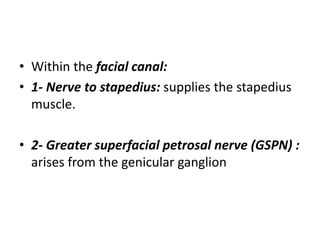 • Within the facial canal:
• 1- Nerve to stapedius: supplies the stapedius
muscle.
• 2- Greater superfacial petrosal nerve (GSPN) :
arises from the genicular ganglion
 