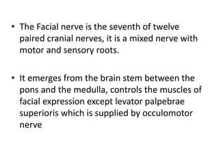 • The Facial nerve is the seventh of twelve
paired cranial nerves, it is a mixed nerve with
motor and sensory roots.
• It emerges from the brain stem between the
pons and the medulla, controls the muscles of
facial expression except levator palpebrae
superioris which is supplied by occulomotor
nerve
 
