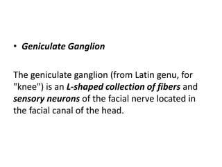 • Geniculate Ganglion
The geniculate ganglion (from Latin genu, for
"knee") is an L-shaped collection of fibers and
sensory neurons of the facial nerve located in
the facial canal of the head.
 