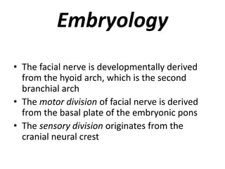 Embryology
• The facial nerve is developmentally derived
from the hyoid arch, which is the second
branchial arch
• The motor division of facial nerve is derived
from the basal plate of the embryonic pons
• The sensory division originates from the
cranial neural crest
 