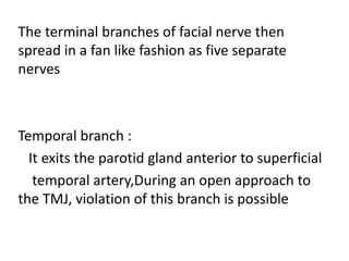 The terminal branches of facial nerve then
spread in a fan like fashion as five separate
nerves
Temporal branch :
It exits the parotid gland anterior to superficial
temporal artery,During an open approach to
the TMJ, violation of this branch is possible
 