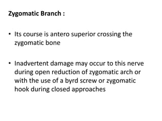 Zygomatic Branch :
• Its course is antero superior crossing the
zygomatic bone
• Inadvertent damage may occur to this nerve
during open reduction of zygomatic arch or
with the use of a byrd screw or zygomatic
hook during closed approaches
 
