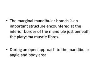 • The marginal mandibular branch is an
important structure encountered at the
inferior border of the mandible just beneath
the platysma muscle fibres.
• During an open approach to the mandibular
angle and body area.
 