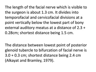 The length of the facial nerve which is visible to
the surgeon is about 1.3 cm. It divides into
temporofacial and cervicofacial divisions at a
point vertically below the lowest part of bony
external auditory meatus at a distance of 2.3 +
0.28cm; shortest distance being 1.5 cm.
The distance between lowest point of posterior
glenoid tubercle to bifurcation of facial nerve is
3.0 + 0.3 cm; shortest distance being 2.4 cm
(Alkayat and Bramley, 1979).
 
