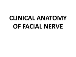 CLINICAL ANATOMY
OF FACIAL NERVE
 