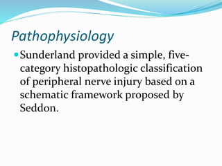 Pathophysiology
Sunderland provided a simple, five-
category histopathologic classification
of peripheral nerve injury based on a
schematic framework proposed by
Seddon.
 