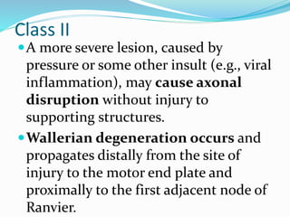 Class II
A more severe lesion, caused by
pressure or some other insult (e.g., viral
inflammation), may cause axonal
disruption without injury to
supporting structures.
Wallerian degeneration occurs and
propagates distally from the site of
injury to the motor end plate and
proximally to the first adjacent node of
Ranvier.
 