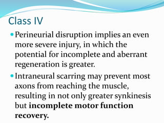 Class IV
Perineurial disruption implies an even
more severe injury, in which the
potential for incomplete and aberrant
regeneration is greater.
Intraneural scarring may prevent most
axons from reaching the muscle,
resulting in not only greater synkinesis
but incomplete motor function
recovery.
 
