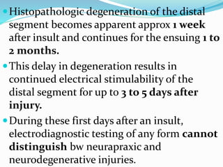 Histopathologic degeneration of the distal
segment becomes apparent approx 1 week
after insult and continues for the ensuing 1 to
2 months.
This delay in degeneration results in
continued electrical stimulability of the
distal segment for up to 3 to 5 days after
injury.
During these first days after an insult,
electrodiagnostic testing of any form cannot
distinguish bw neurapraxic and
neurodegenerative injuries.
 