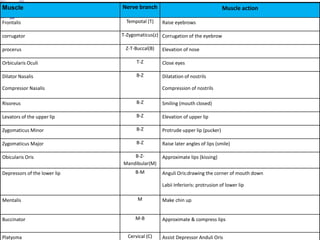 Muscle Nerve branch Muscle action
Frontalis Tempotal (T) Raise eyebrows
corrugator T-Zygomaticus(z) Corrugation of the eyebrow
procerus Z-T-Buccal(B) Elevation of nose
Orbicularis Oculi T-Z Close eyes
Dilator Nasalis
Compressor Nasalis
B-Z Dilatation of nostrils
Compression of nostrils
Risoreus B-Z Smiling (mouth closed)
Levators of the upper lip B-Z Elevation of upper lip
Zygomaticus Minor B-Z Protrude upper lip (pucker)
Zygomaticus Major B-Z Raise later angles of lips (smile)
Obicularis Oris B-Z-
Mandibular(M)
Approximate lips (kissing)
Depressors of the lower lip B-M Anguli Oris:drawing the corner of mouth down
Labii Inferioris: protrusion of lower lip
Mentalis M Make chin up
Buccinator M-B Approximate & compress lips
Platysma Cervical (C) Assist Depressor Anduli Oris
 