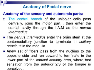 Anatomy of Facial nerve
Anatomy of the sensory and autonomic parts:
2. The central branch of the unipolar cells pass
centrally, joins the motor part , then enter the
cranial cavity through the I.A.M as the nervus
intermedius.
 The nervus intermedius enter the brain stem at the
pontomedullary junction to terminate in solitary
neucleus in the medulla.
 Anew set of fibers pass from the nucleus to the
opposite side and run upward to terminate in the
lower part of the cortical sensory area, where tast
sensation from the anterior 2/3 of the tongue is
perceived.
 