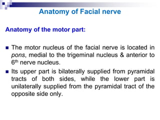 Anatomy of Facial nerve
Anatomy of the motor part:
 The motor nucleus of the facial nerve is located in
pons, medial to the trigeminal nucleus & anterior to
6th nerve nucleus.
 Its upper part is bilaterally supplied from pyramidal
tracts of both sides, while the lower part is
unilaterally supplied from the pyramidal tract of the
opposite side only.
 