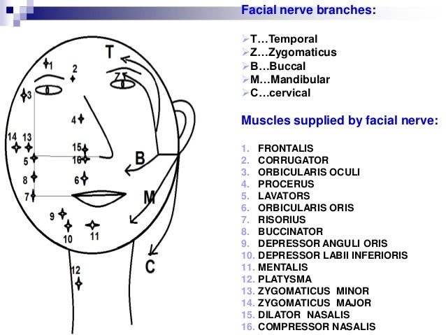Facial palsy