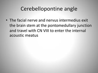 Cerebellopontine angle
• The facial nerve and nervus intermedius exit
the brain stem at the pontomedullary junction
and travel with CN VIII to enter the internal
acoustic meatus
 