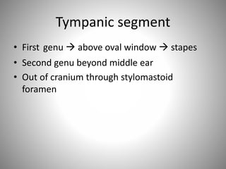 Tympanic segment
• First genu  above oval window  stapes
• Second genu beyond middle ear
• Out of cranium through stylomastoid
foramen
 