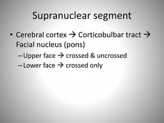 Supranuclear segment
• Cerebral cortex  Corticobulbar tract 
Facial nucleus (pons)
–Upper face  crossed & uncrossed
–Lower face  crossed only
 