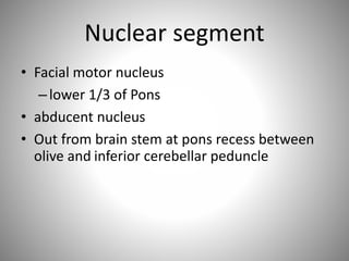 Nuclear segment
• Facial motor nucleus
–lower 1/3 of Pons
• abducent nucleus
• Out from brain stem at pons recess between
olive and inferior cerebellar peduncle
 