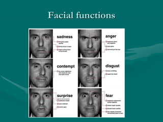 Facial functions
 