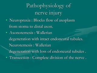 Pathophysiology of
nerve injury
• Neuropraxia : Blocks flow of axoplasm
from stoma to distal axon.
• Axonotemesis : Wallerian
degeneration with intact endoneural tubules.
Neurotemesis : Wallerian
degeneration with loss of endoneural tubules .
• Transection : Complete division of the nerve .
 