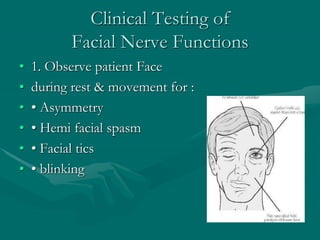 Clinical Testing of
Facial Nerve Functions
• 1. Observe patient Face
• during rest & movement for :
• • Asymmetry
• • Hemi facial spasm
• • Facial tics
• • blinking
 