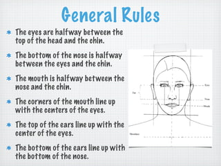 General Rules
The eyes are half way bet ween the
top of the head and the chin.
The bottom of the nose is half way
bet ween the eyes and the chin.
The mouth is half way bet ween the
nose and the chin.
The corners of the mouth line up
with the centers of the eyes.
The top of the ears line up with the
center of the eyes.
The bottom of the ears line up with
the bottom of the nose.
 