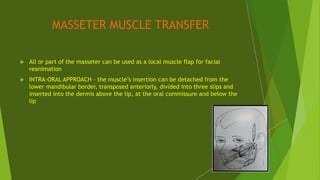 MASSETER MUSCLE TRANSFER
 All or part of the masseter can be used as a local muscle flap for facial
reanimation
 INTRA-ORAL APPROACH - the muscle’s insertion can be detached from the
lower mandibular border, transposed anteriorly, divided into three slips and
inserted into the dermis above the lip, at the oral commissure and below the
lip
 