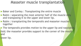 Masseter muscle transplantation
 Baker and Conley : Transplanting the entire muscle
 Rubin : separating the most anterior half of the muscle only
and transposing it to the upper and lower lip.
 Rubin : transplanting the temporalis and masseter muscles
together
 The temporalis provides motion to the upper lip and nasolabial
fold; the masseter provides support to the corner of the mouth
and
lower lip.
 