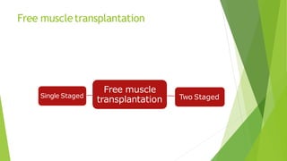 Free muscletransplantation
Free muscle
transplantation
Single Staged Two Staged
 