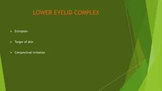 LOWER EYELID COMPLEX
 Ectropion
 Turgor of skin
 Conjunctival irritation
 