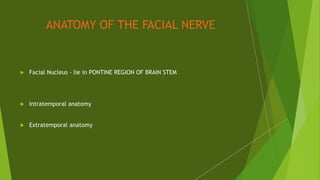 ANATOMY OF THE FACIAL NERVE
 Facial Nucleus - lie in PONTINE REGION OF BRAIN STEM
 Intratemporal anatomy
 Extratemporal anatomy
 