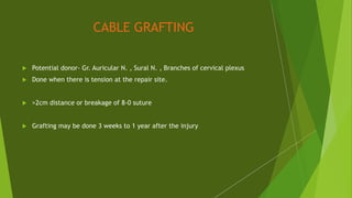 CABLE GRAFTING
 Potential donor- Gr. Auricular N. , Sural N. , Branches of cervical plexus
 Done when there is tension at the repair site.
 >2cm distance or breakage of 8-0 suture
 Grafting may be done 3 weeks to 1 year after the injury
 