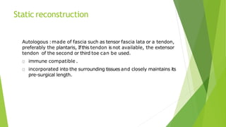 Static reconstruction
Autologous :made of fascia such as tensor fascia lata or a tendon,
preferably the plantaris, Ifthis tendon isnot available, the extensor
tendon of the second or third toe can be used.
immune compatible .
incorporated into the surrounding tissues and closely maintains its
pre-surgical length.
 